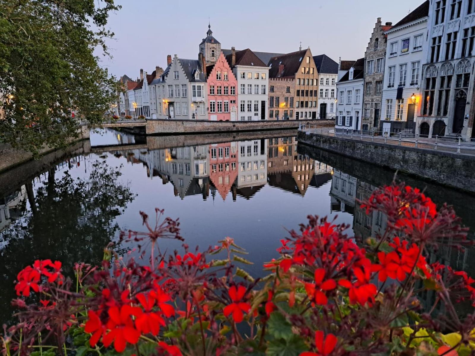 Bed & Breakfast Butterfly Bruges